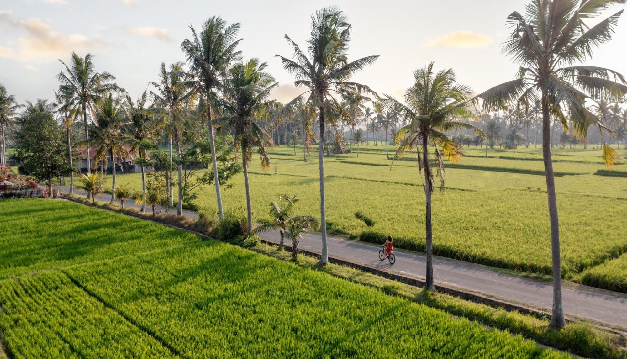 Thewakanda Resort A Pramana Experience Ubud Exterior foto